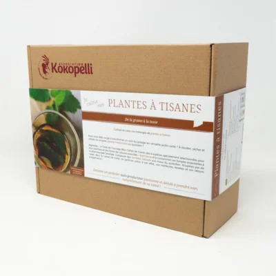 Box de graines - Plantes à tisanes