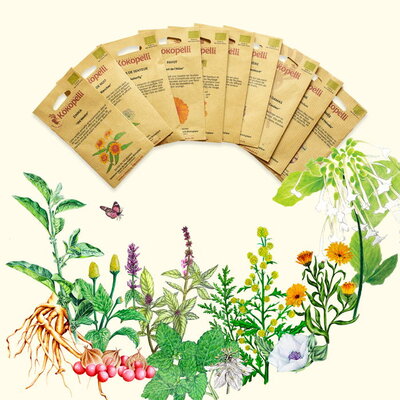 Assortiment - Plantes médicinales