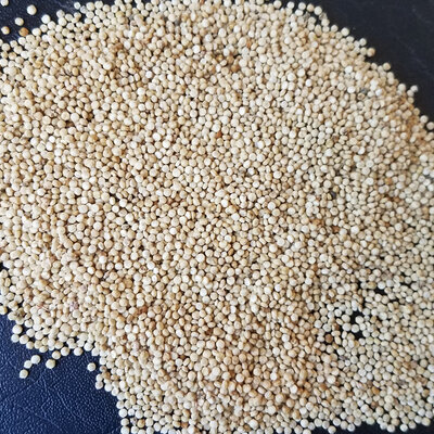 Quinoa Peppermint