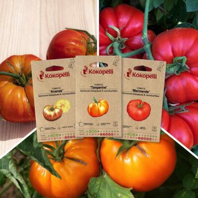 Tomates pour salade - 3 sachets de graines bio à semer