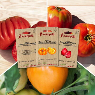 Tomates Cœur de Bœuf - 3 sachets de graines bio à semer