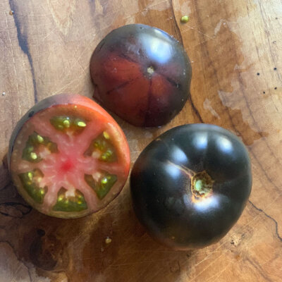 Tomate-Cerise Bigarrée Mi-Saison Purple Bumble Bee