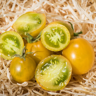 Tomate-Cerise Verte Mi-Saison Thompson Seedless Green Grape