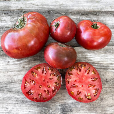 Tomate Noire Mi-Saison Carbon