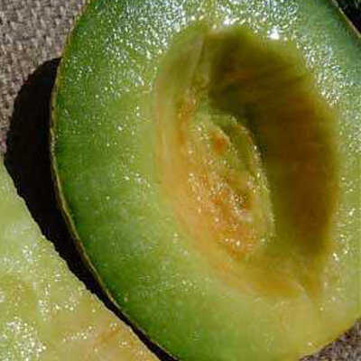 Melon Rocky Ford Green Flesh