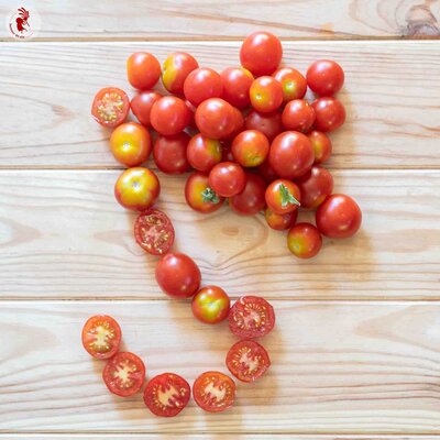 Tomate-Cerise Rouge Précoce Délice du Jardinier