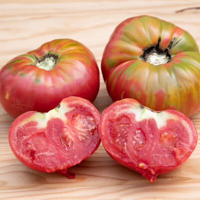 Tomate Rouge Mi-Saison Géante d’Orenbourg