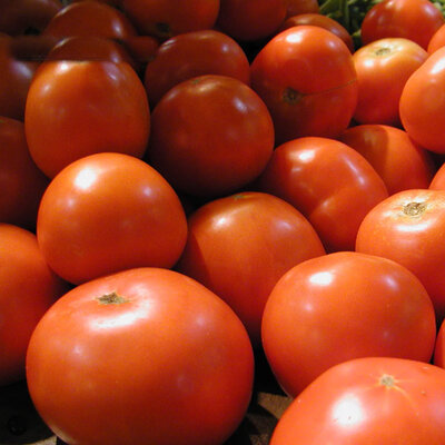 Tomate Rouge Précoce Market Miracle