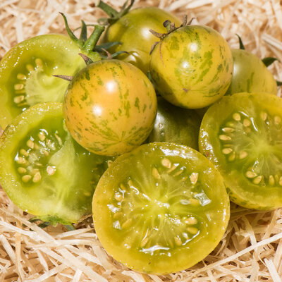 Tomate-Cerise Verte Mi-Saison Abracazebra