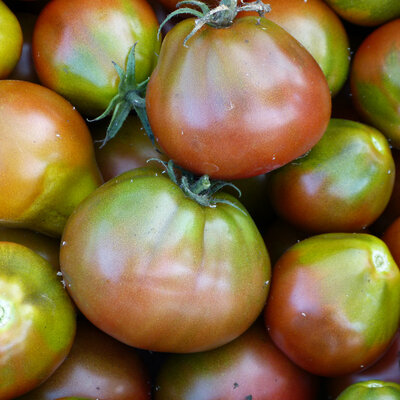 Tomate Noire Mi-Saison Black Pear