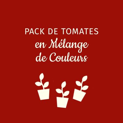 Tomates - Pack de Tomates en Mélange de Couleurs