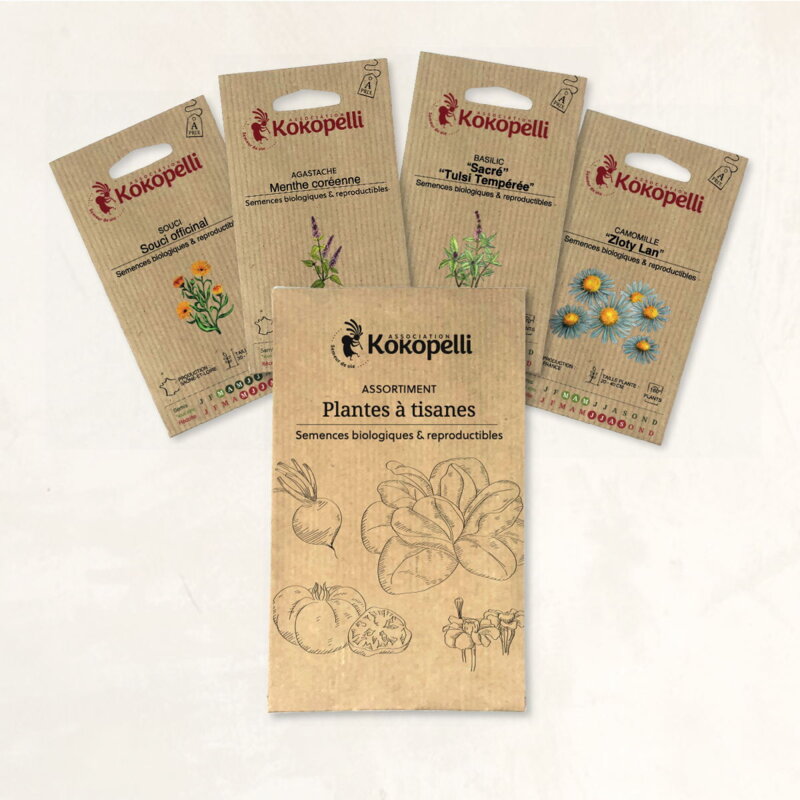 Assortiments Fertiles - Plantes à tisanes - 4 sachets de graines bio à semer