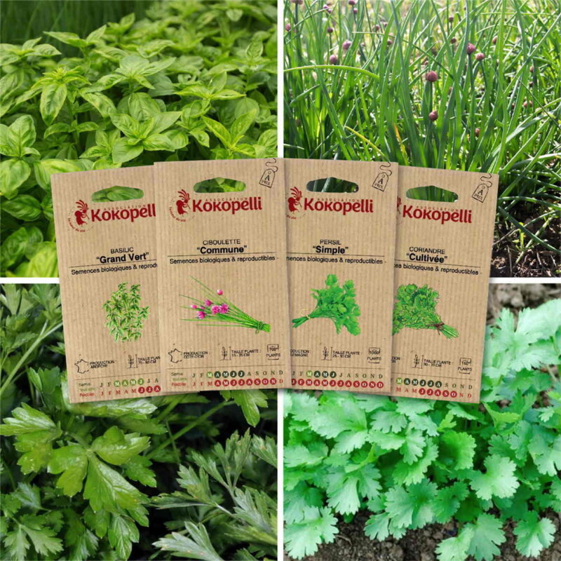 Assortiments Fertiles - Herbes aromatiques - 4 sachets de graines bio à semer