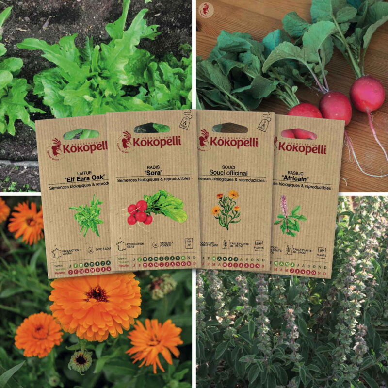 Assortiments Fertiles - Potager du balcon - 4 sachets de graines bio à semer