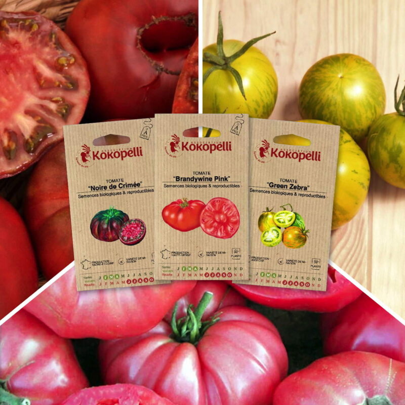 Assortiments Fertiles - Tomates colorées - 3 sachets de graines bio à semer