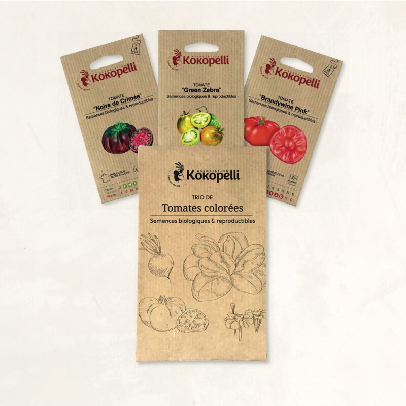 Assortiments Fertiles - Tomates colorées - 3 sachets de graines bio à semer