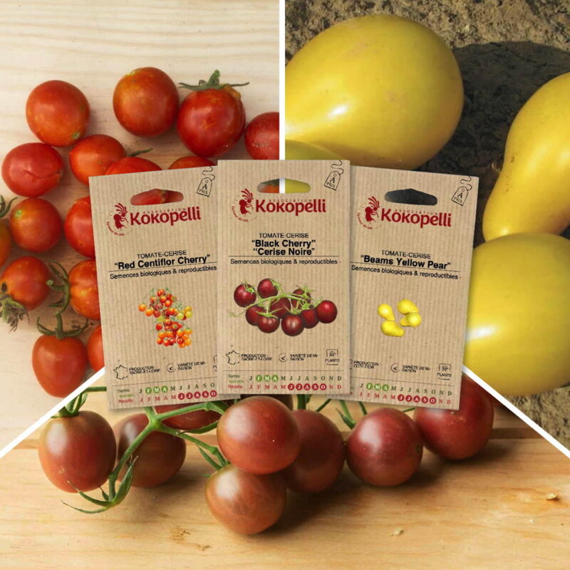 Assortiments Fertiles - Tomates-cerise apéro - 3 sachets de graines bio à semer