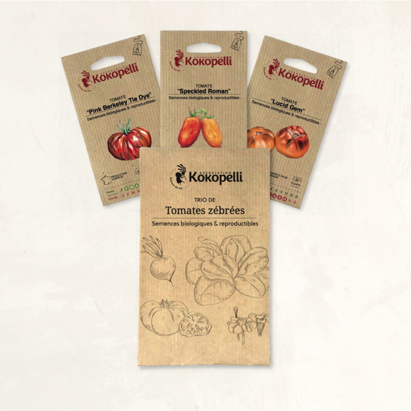 Assortiments Fertiles - Tomates zébrées - 3 sachets de graines bio à semer