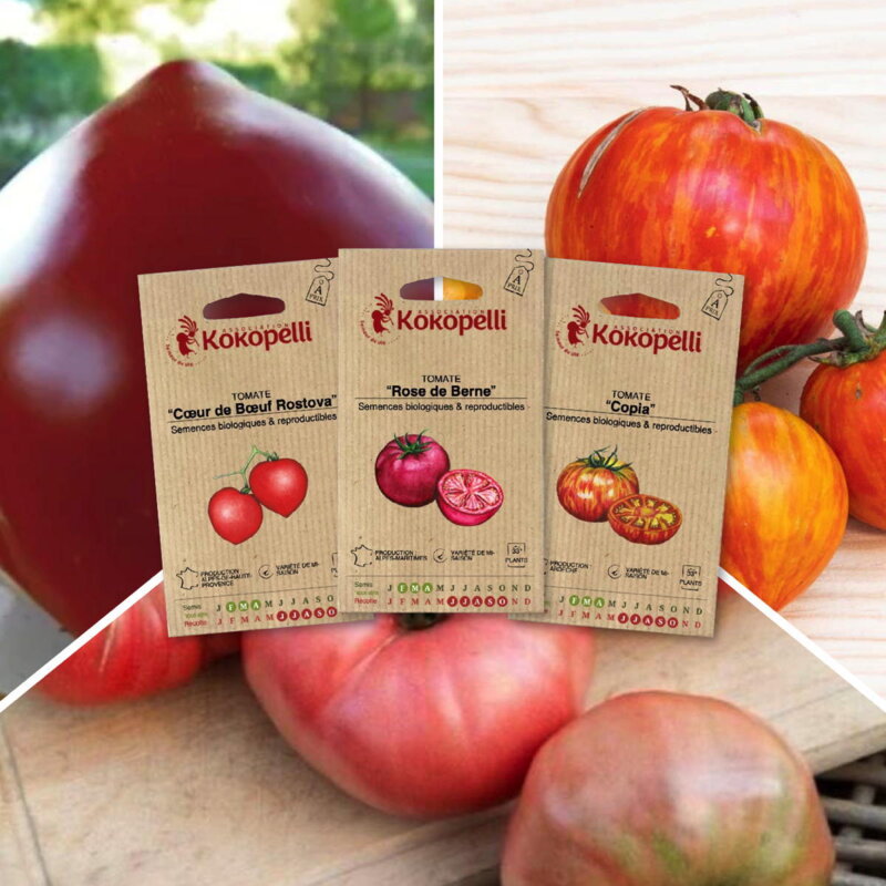 Assortiments Fertiles - Tomates savoureuses - 3 sachets de graines bio à semer