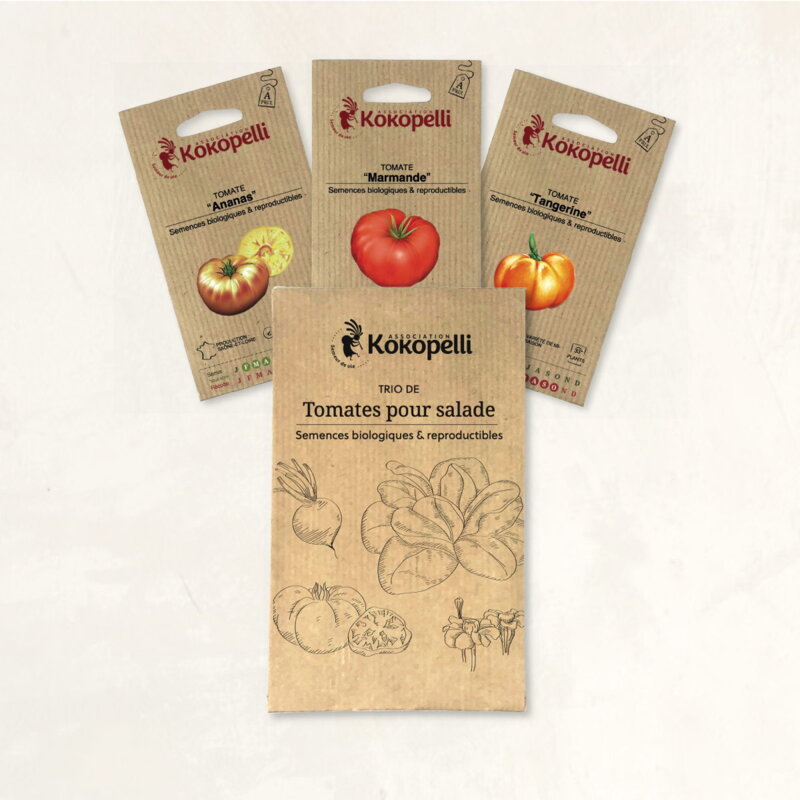 Assortiments Fertiles - Tomates pour salade - 3 sachets de graines bio à semer