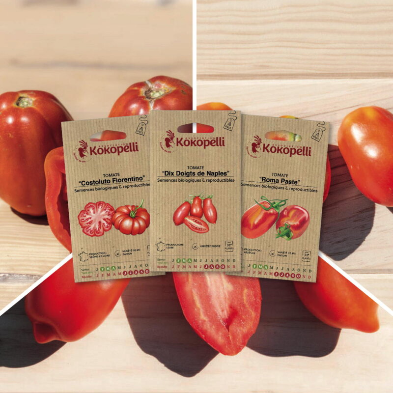 Assortiments Fertiles - Tomates pour conserves - 3 sachets de graines bio à semer