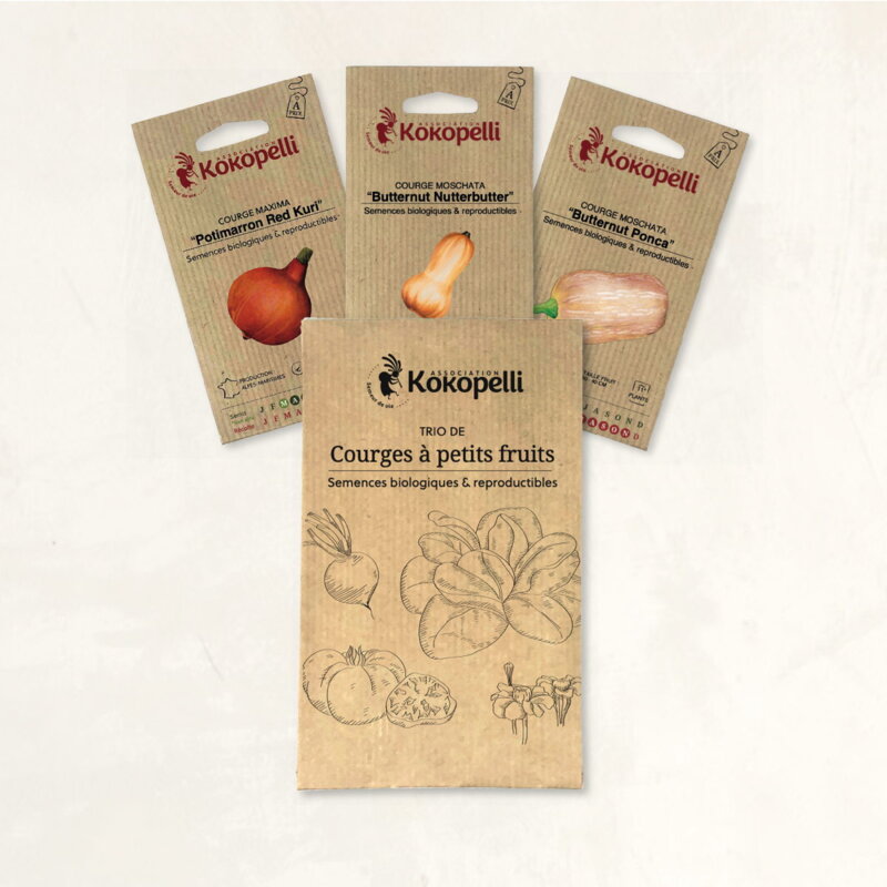 Assortiments Fertiles - Courges à petits fruits - 3 sachets de graines bio à semer