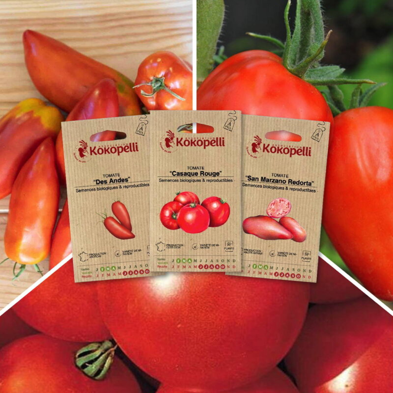 Assortiments Fertiles - Tomates pour coulis - 3 sachets de graines bio à semer