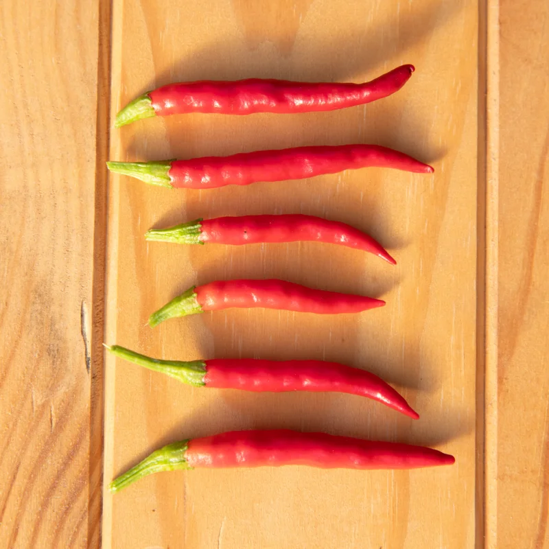 Piments/Poivrons - Takanotsume