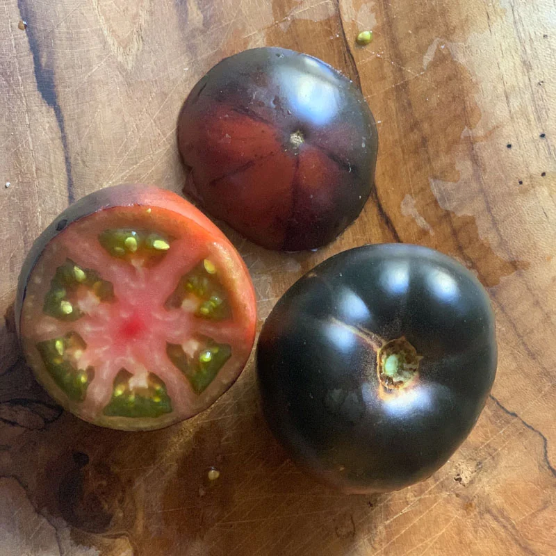 Tomates cerises - Purple Bumblebee