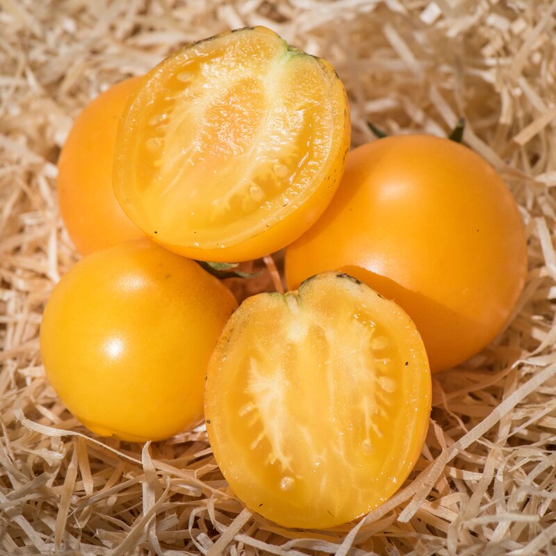 Tomates - Buigh Annane