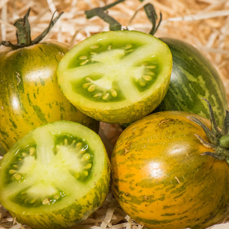 Tomates - Zèbre Robecq