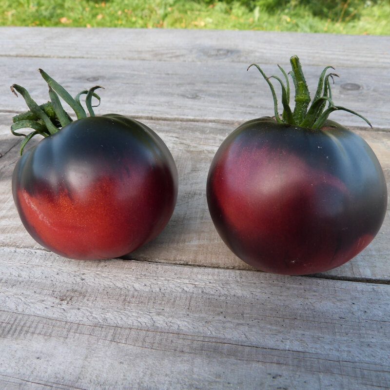 Tomates - Black Beauty