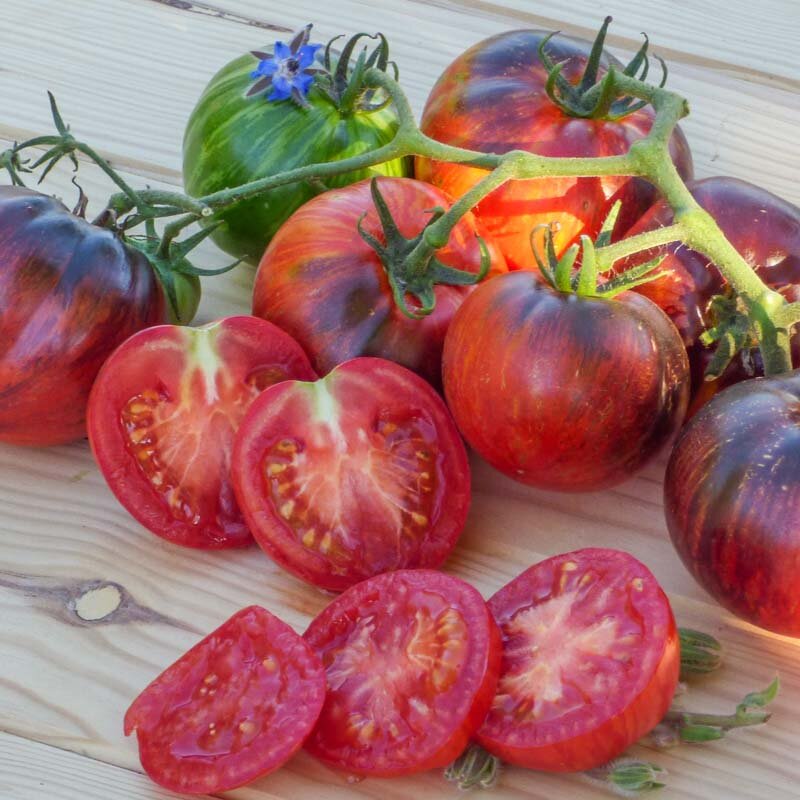 Tomates - Kaleidoscopic Jewel