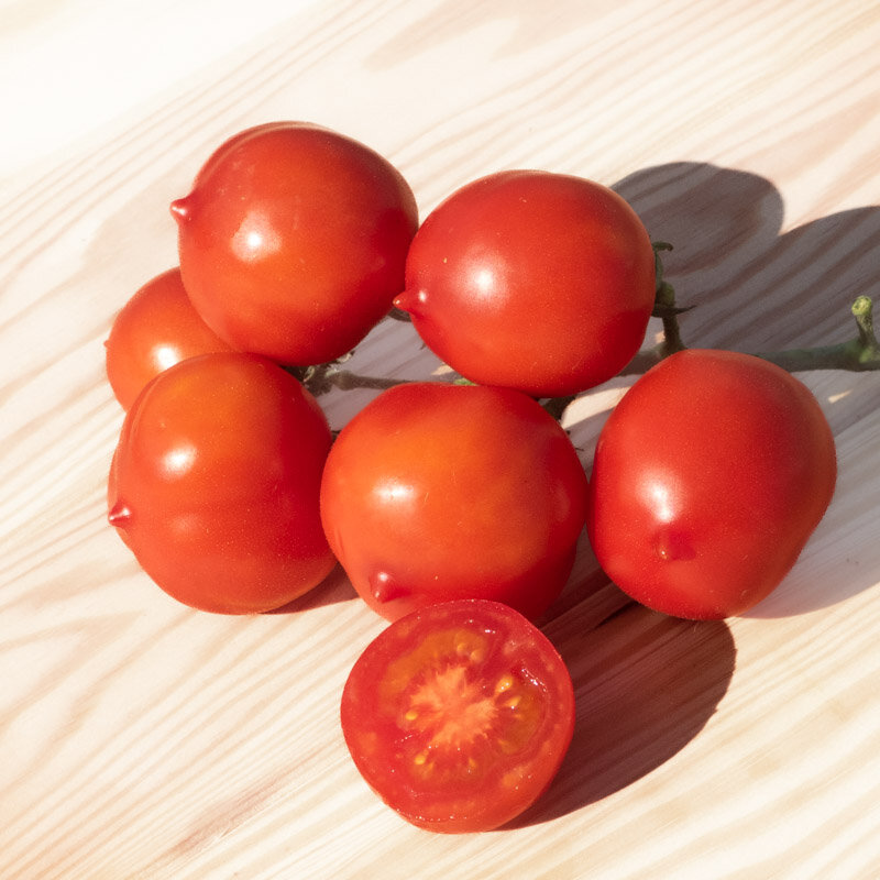 Tomates cerises - Piennolo Del Vesuvio