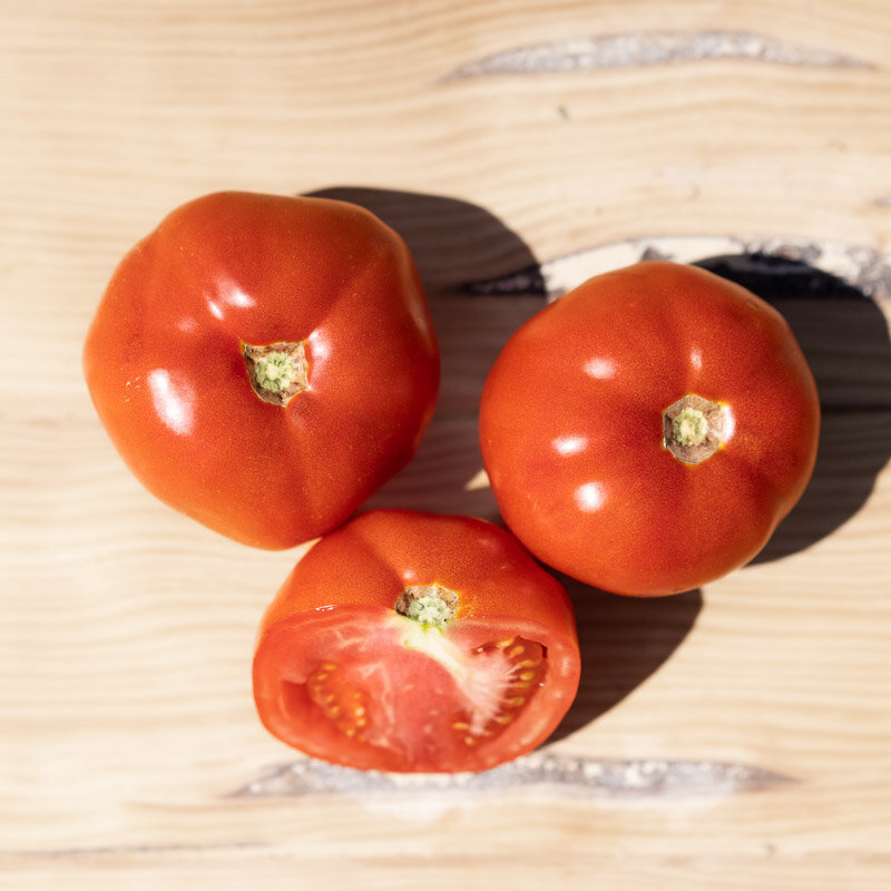 Tomates - Gloire de Malines