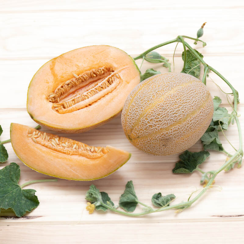 Melons - Arancino