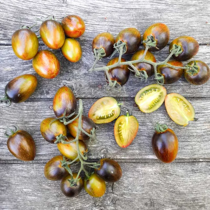 Tomates cerises - Brad’s Atomic Grape