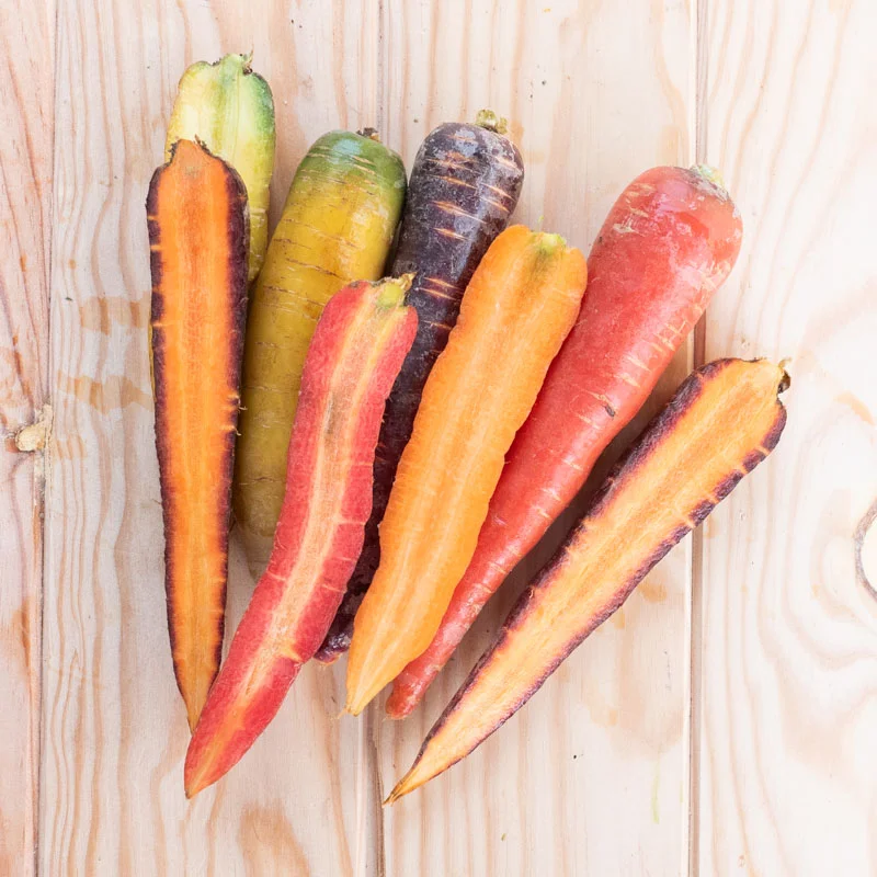 Carottes - Carotte en mélange de couleurs