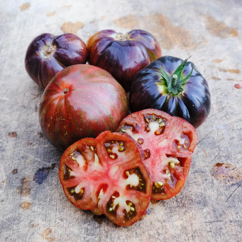 Tomates - Marsha’s Starfighter Beefsteak