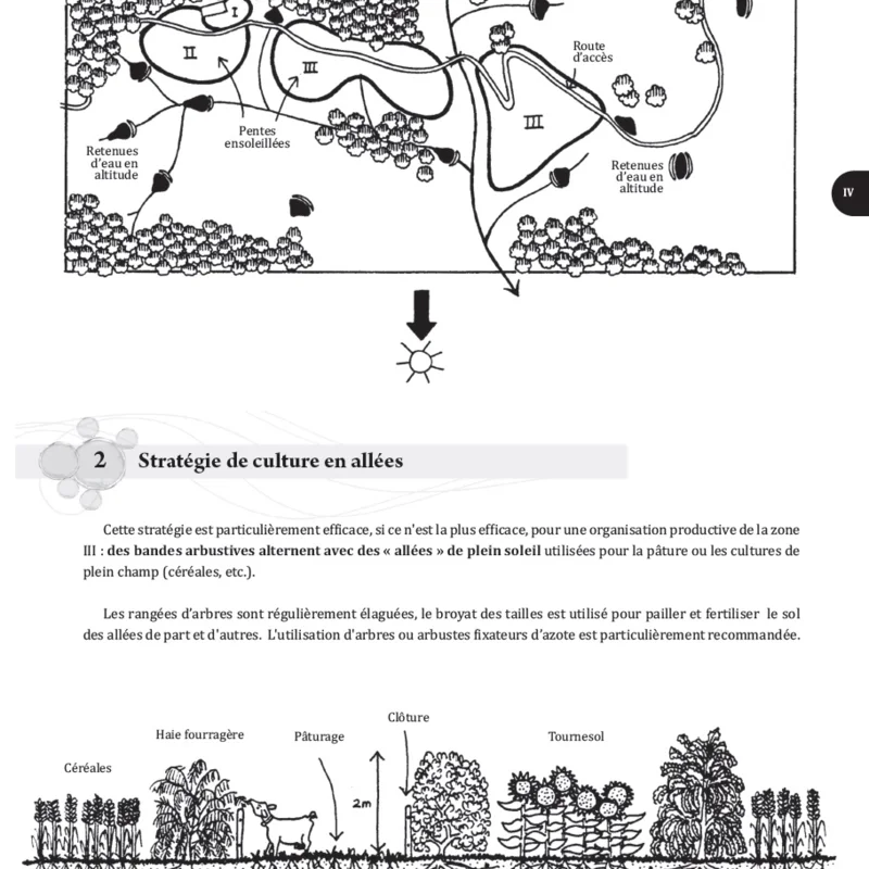 Techniques de jardinage - Manuel d'apprentissage pas à pas de la permaculture