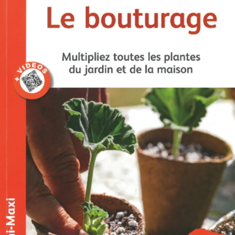 Jardin bio - Le bouturage