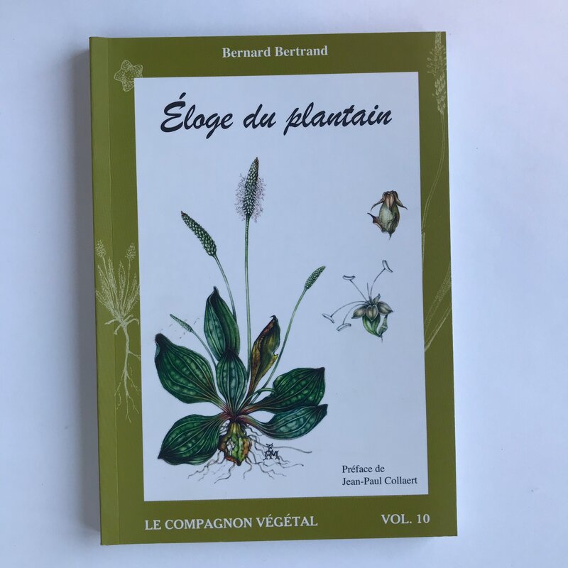 Connaissance des Plantes - Vol. 10 - Éloge du Plantain