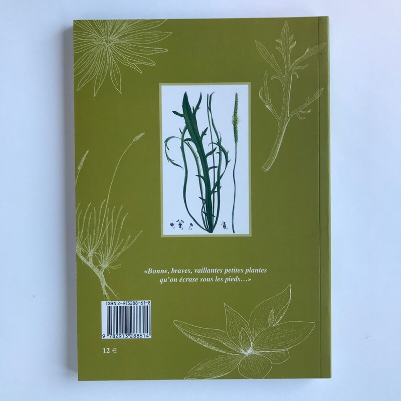 Connaissance des Plantes - Vol. 10 - Éloge du Plantain