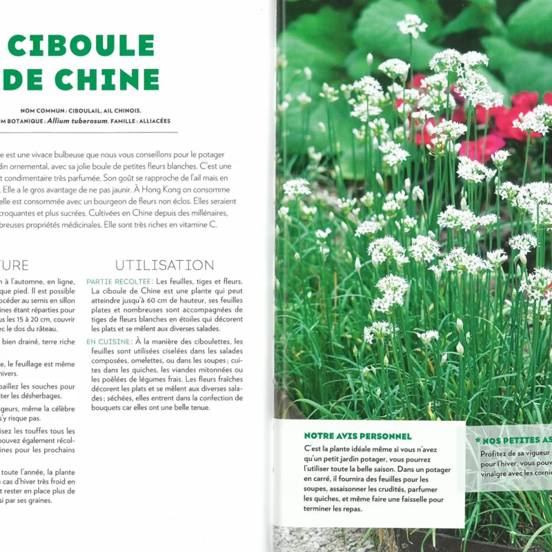 Jardin bio - Le potager perpétuel