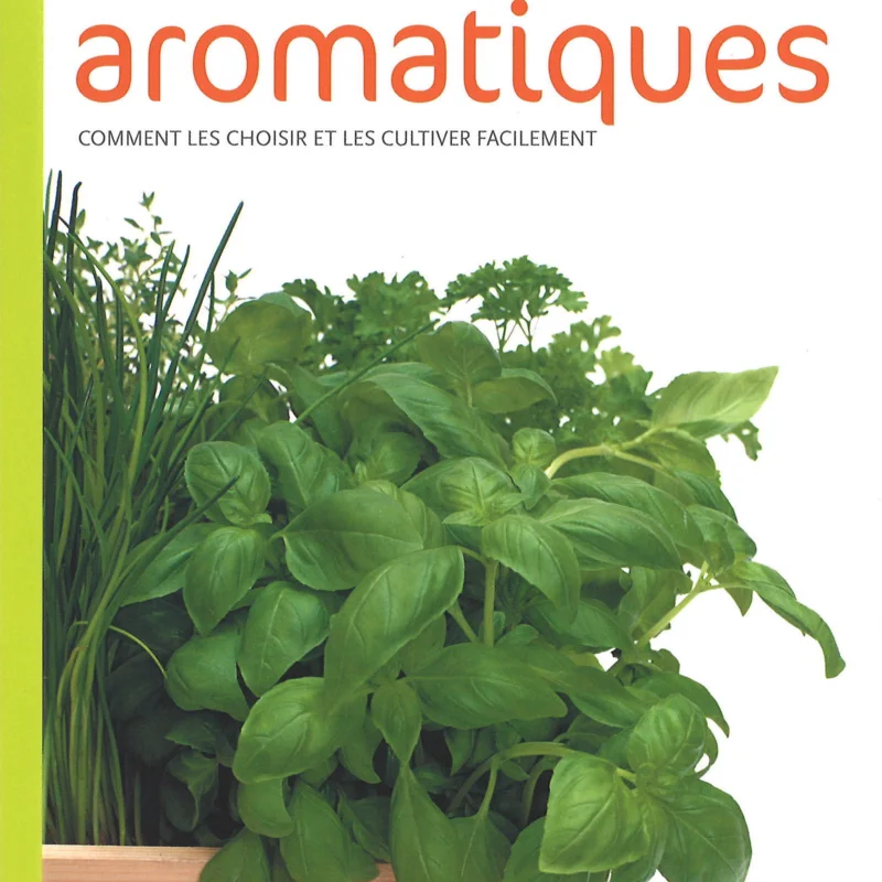 Connaissance des Plantes - Plantes Aromatiques