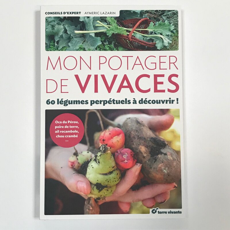Connaissance des Plantes - Mon potager de vivaces : 60 légumes perpétuels à découvrir !