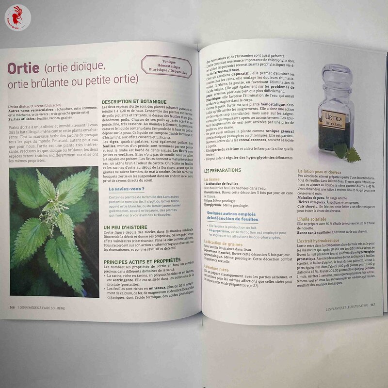 Plantes Médicinales - LE guide Terre Vivante - 1000 remèdes à faire soi-même : teintures mères, baumes, lotions, sirops, tisanes…