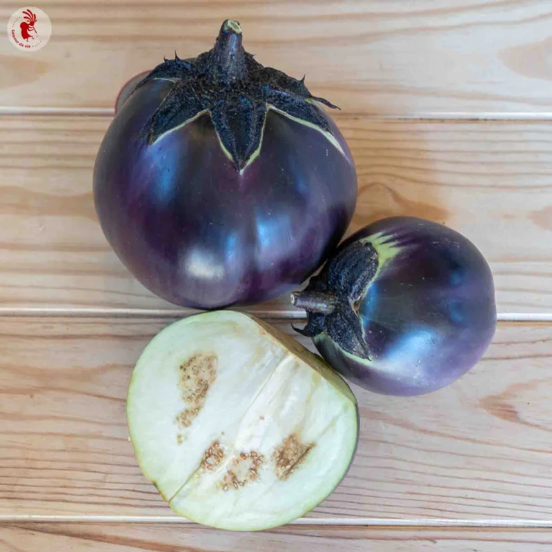 Aubergines - Ronde de Valence