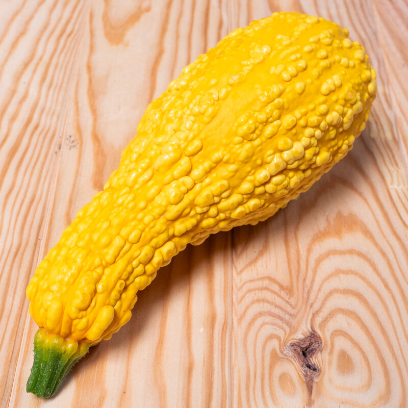 Courgettes - Jaune à Col Crookneck