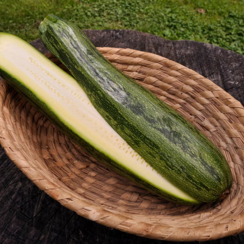 Courgettes - Nimba